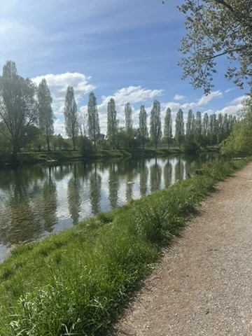 Wipkingerpark area at sunset - Smile Swim pickup location