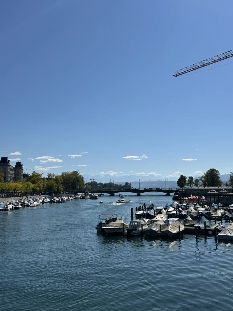 Limmat Böötle - Kompletter Guide