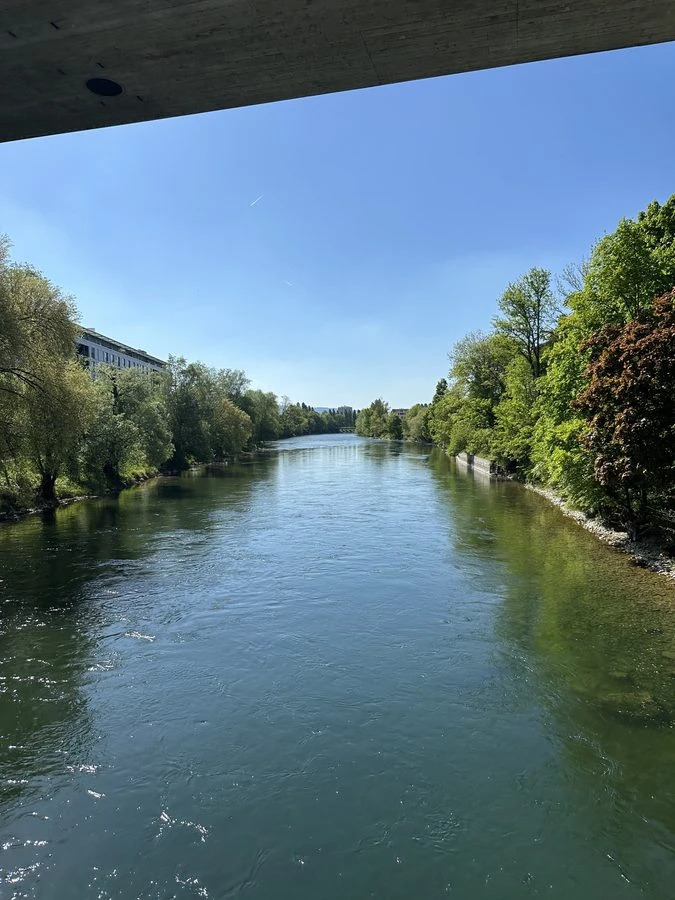 Limmat Fluss mit grünen Bäumen im Sommer