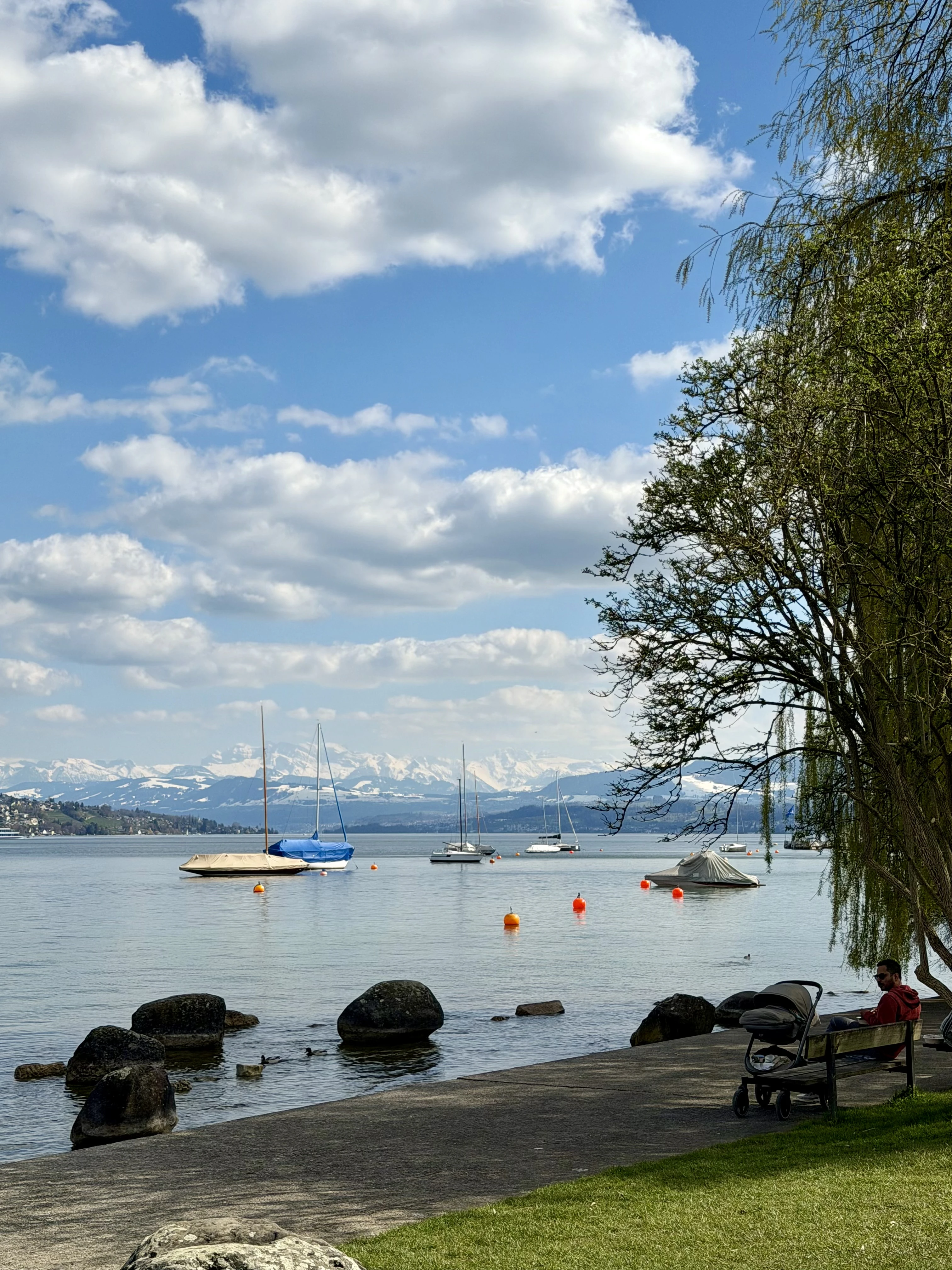 Pontoons beim Wipkingerpark – Startpunkt des Limmat Böötle