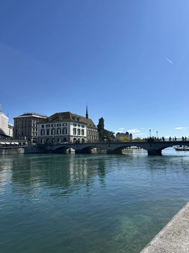 Zürichsee Hafen mit Segelbooten und Alpen